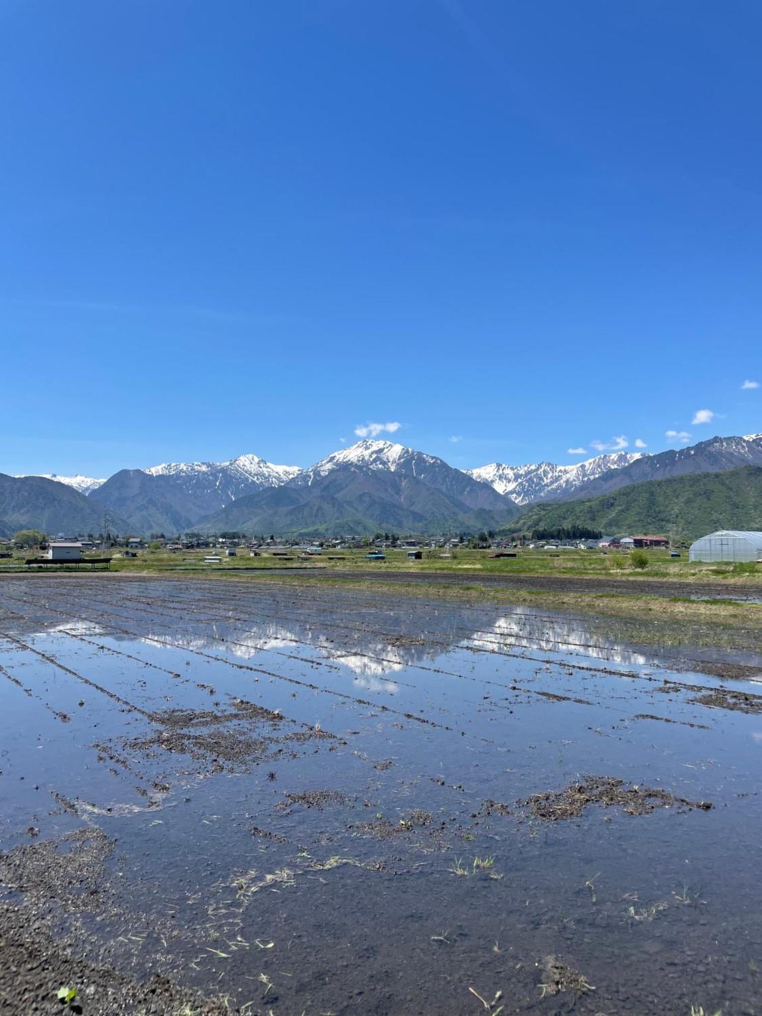 北アルプス麓のゲストハウス林屋 Omachi  Eksteriør bilde
